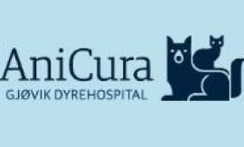 Bedriftsbesøk hos AniCura - Gjøvik Dyrehospital
