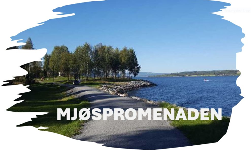 Rotary-dugnad: Søppelplukking på Mjøspromenaden